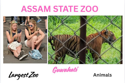 guwahati-zoo-animals