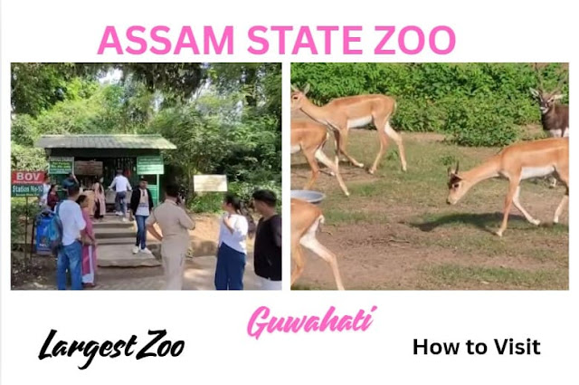 guwahati-zoo