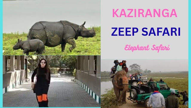 kaziranga-national-park
