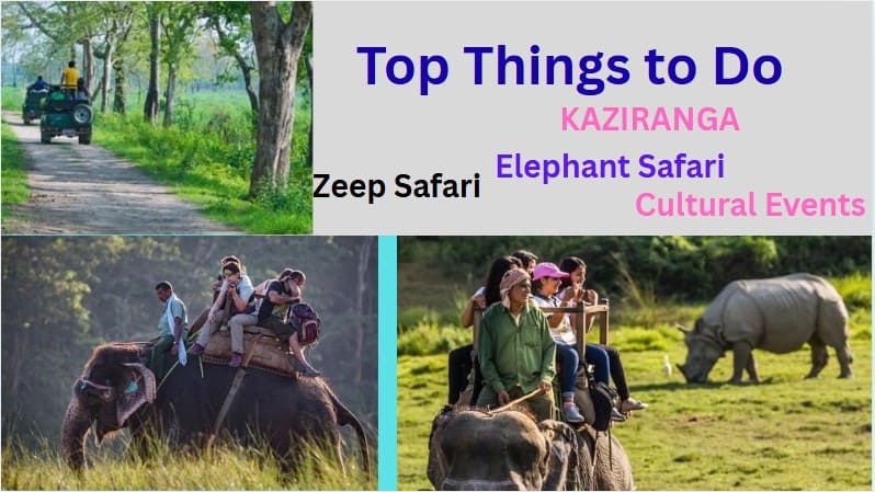 kaziranga-national-park