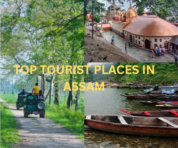 tourist-places-in-assam