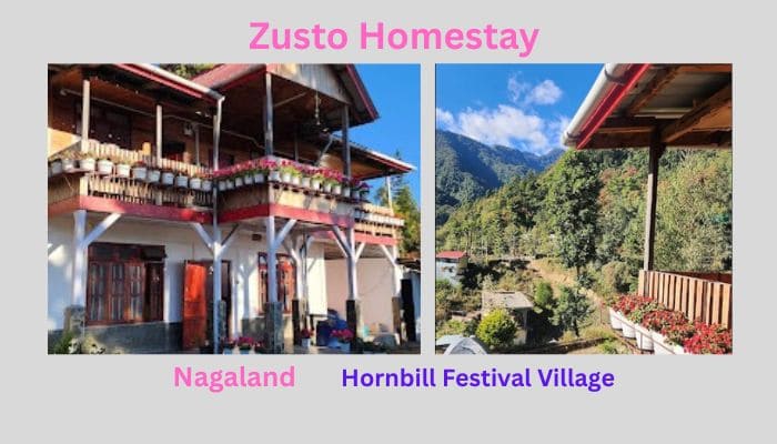 homestay-near-hornbill-festival-village