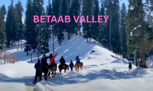 betaab-valley-in-winter