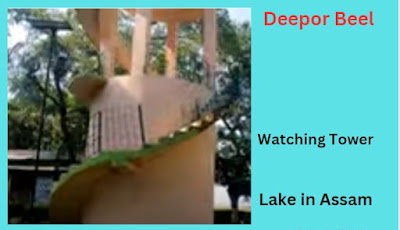 dipor-bill-watch-tower