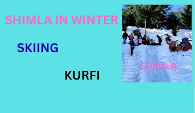 mla-in-winter