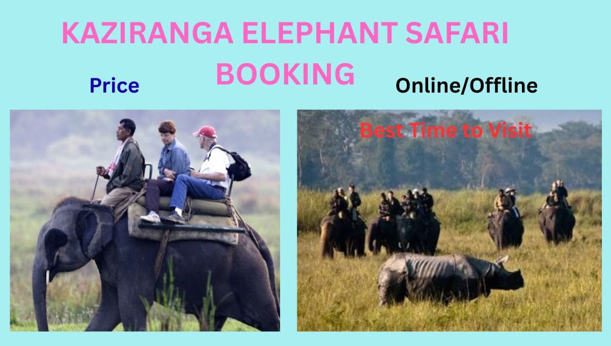 kaziranga-elephant-safari-booking