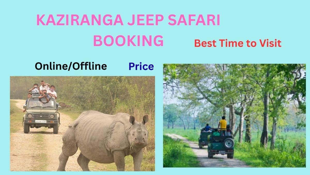 kaziranga-jeep-safari-booking.