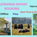 Kaziranga Safari Booking