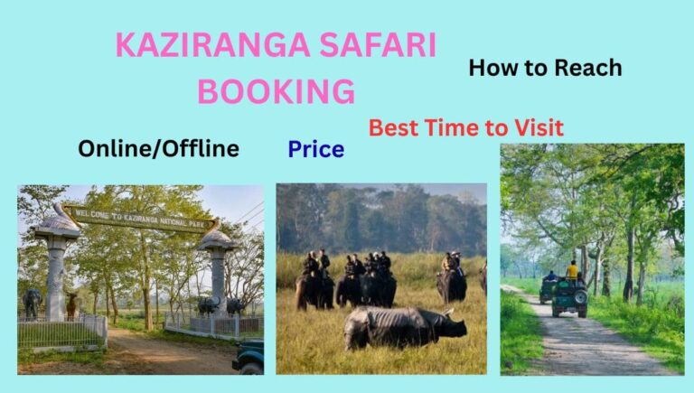 Kaziranga Safari Booking