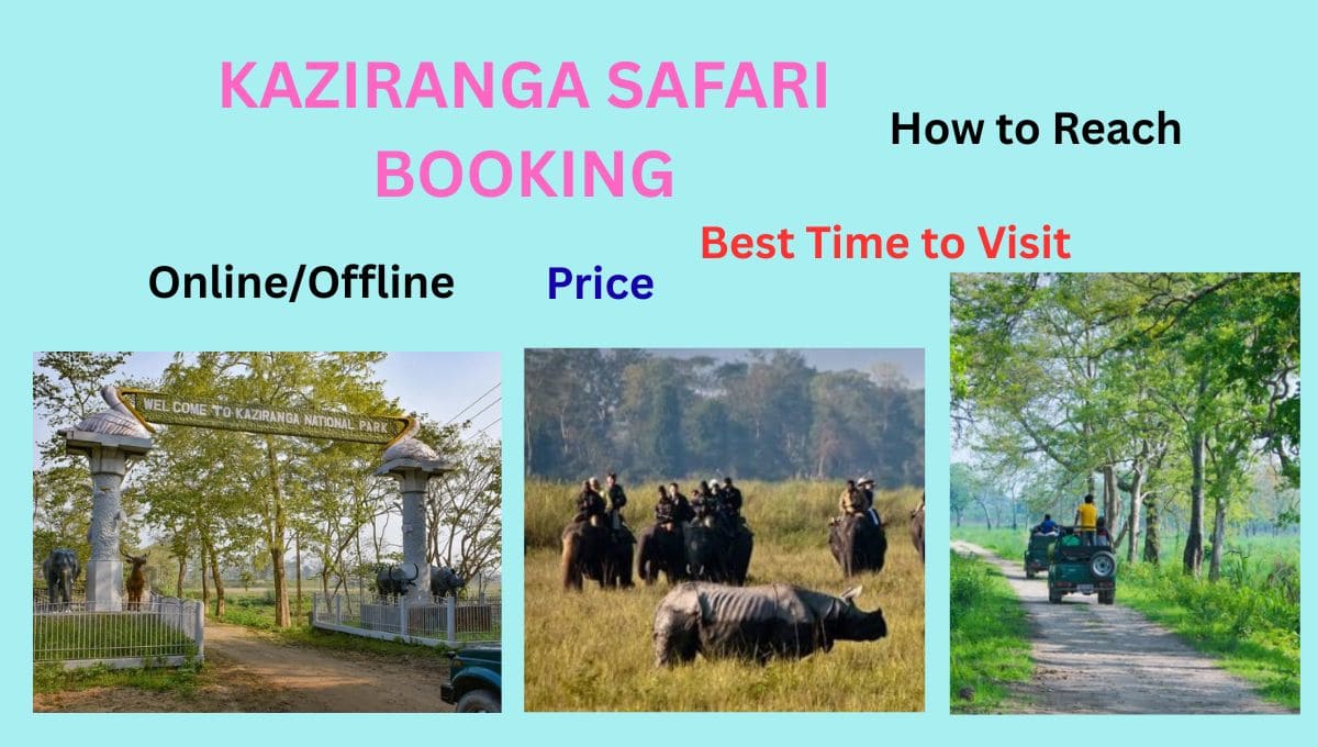 Kaziranga Safari Booking