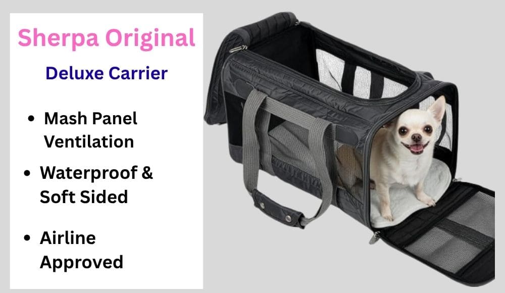 sherpa-original-deluxe-carrier