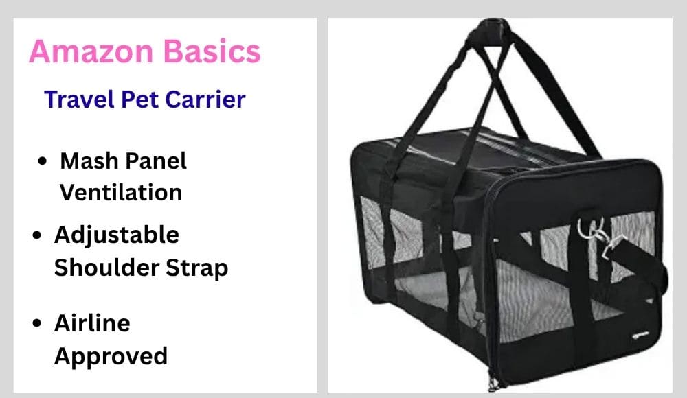 travel-pet-carrier